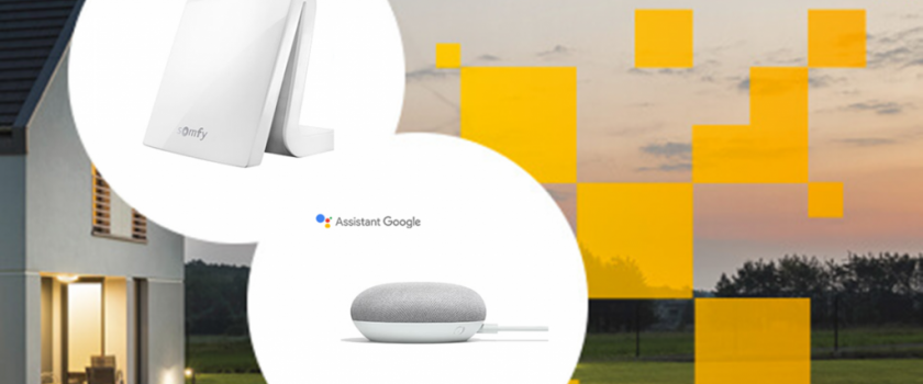 L'assistant Google
